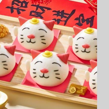 ǧζ300g�����в�è��ͨ����10����