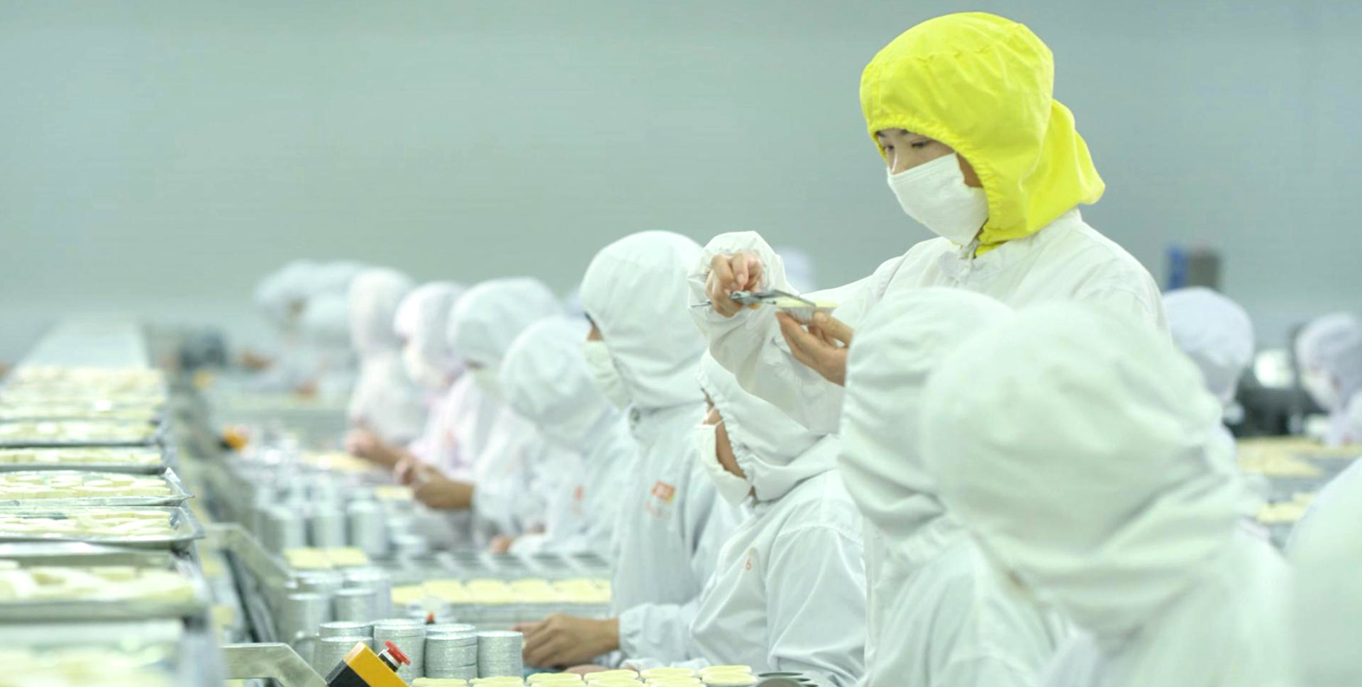 ea576ede-5838-416a-8f88-994d04367448